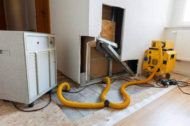 Best Mold Prevention Services  in Mckenzie, TN